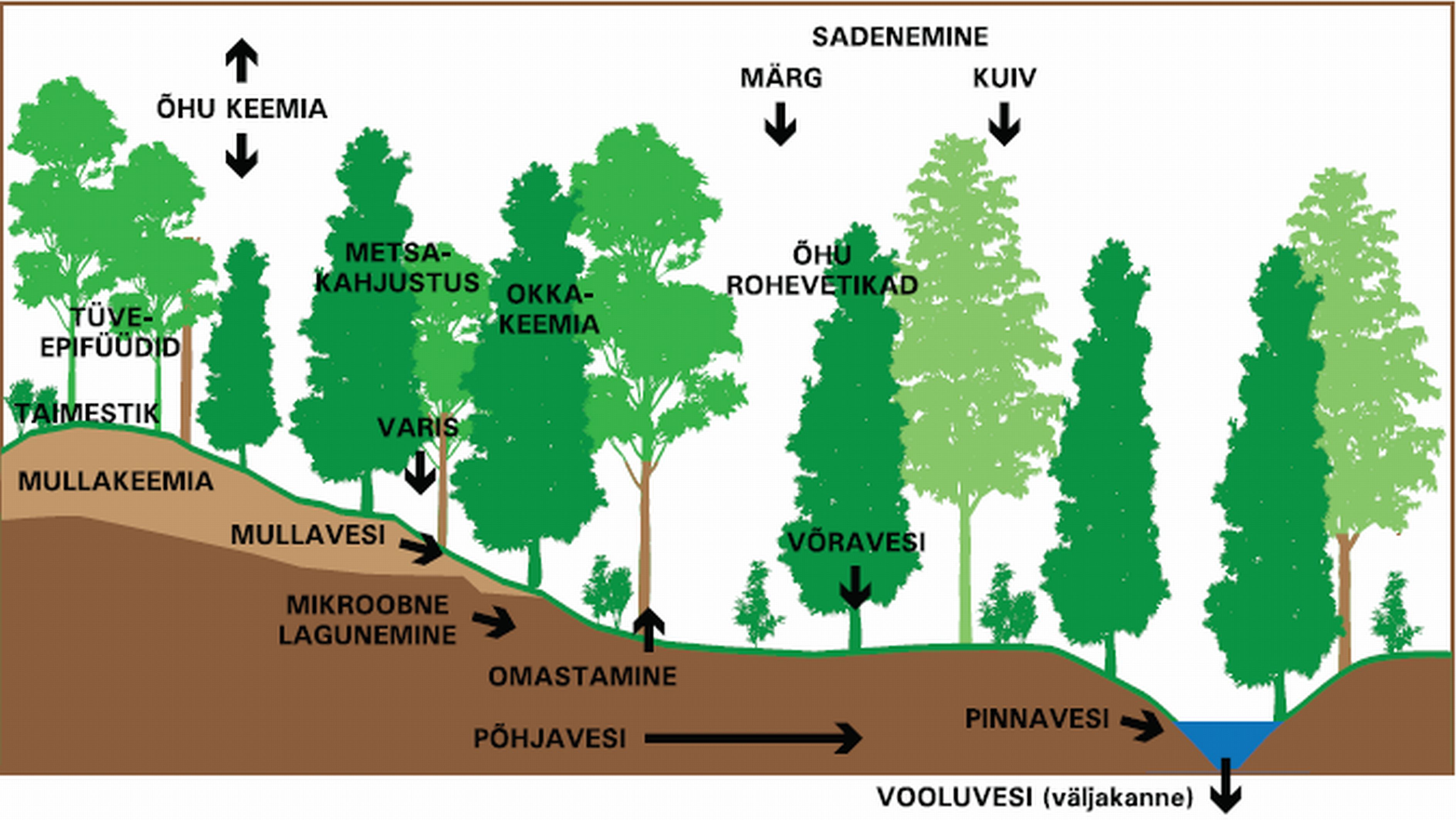Kompleksseire skeem